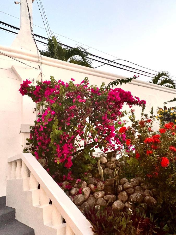The Villa At Pineapple Cove Boscobel المظهر الخارجي الصورة