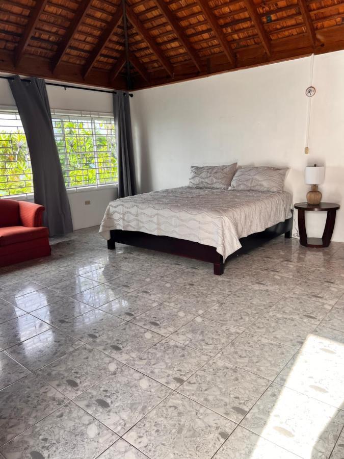 The Villa At Pineapple Cove Boscobel المظهر الخارجي الصورة